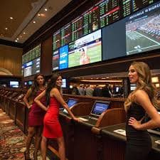 tdtc nền tảng cá cược trực tuyến – sportsbook, casino và slot cho người Việt Nam